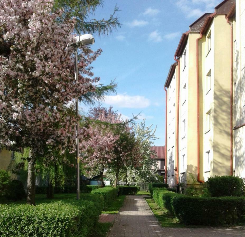 Appartamento Apartament Jasminowy Kudowa-Zdrój Esterno foto
